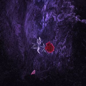 美女裸露小米su7视频
